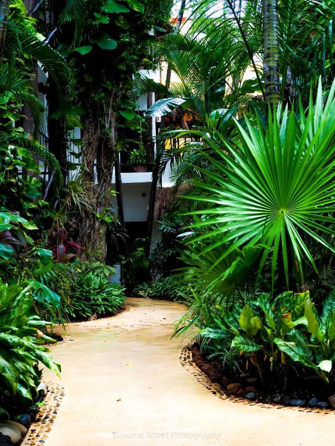 Kinbe Boutique Hotel Playa del Carmen