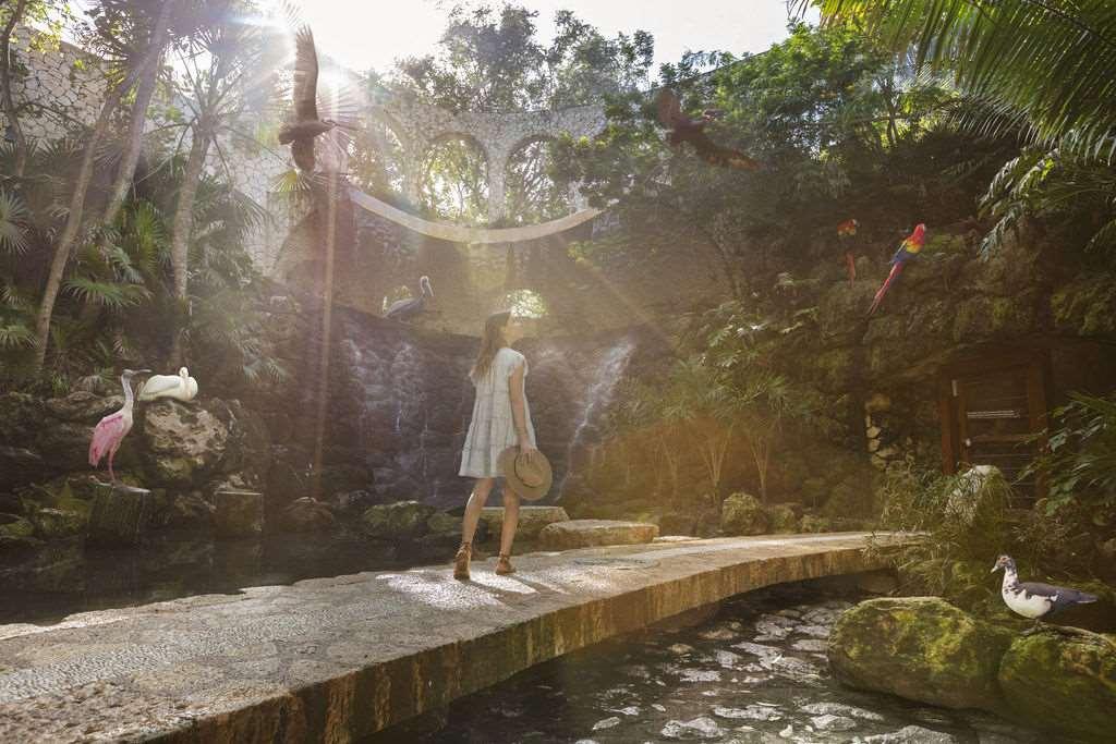 Hotel Xcaret Arte - Parks Fun Inclusive - Adults Only Xcaret Park