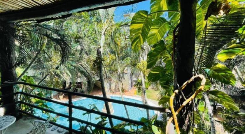 Maya Del Carmen Hotel