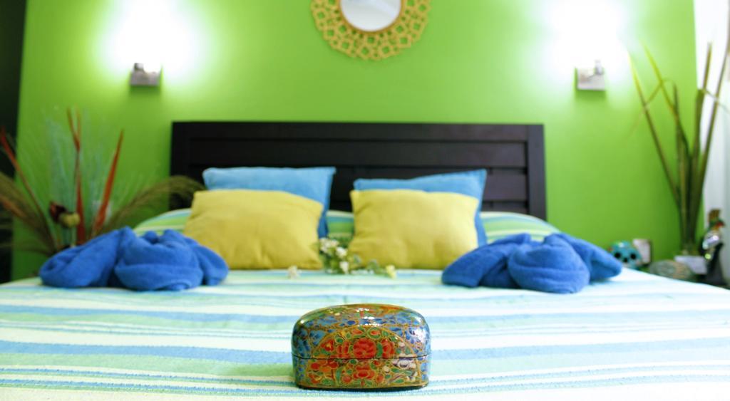 Bed & Breakfast Maya Vacanze Playa Quinta 2*