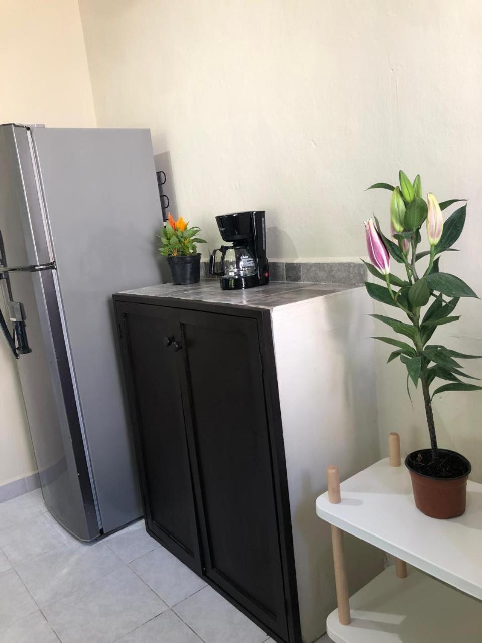 Lovely In Playa Apartment Playa del Carmen