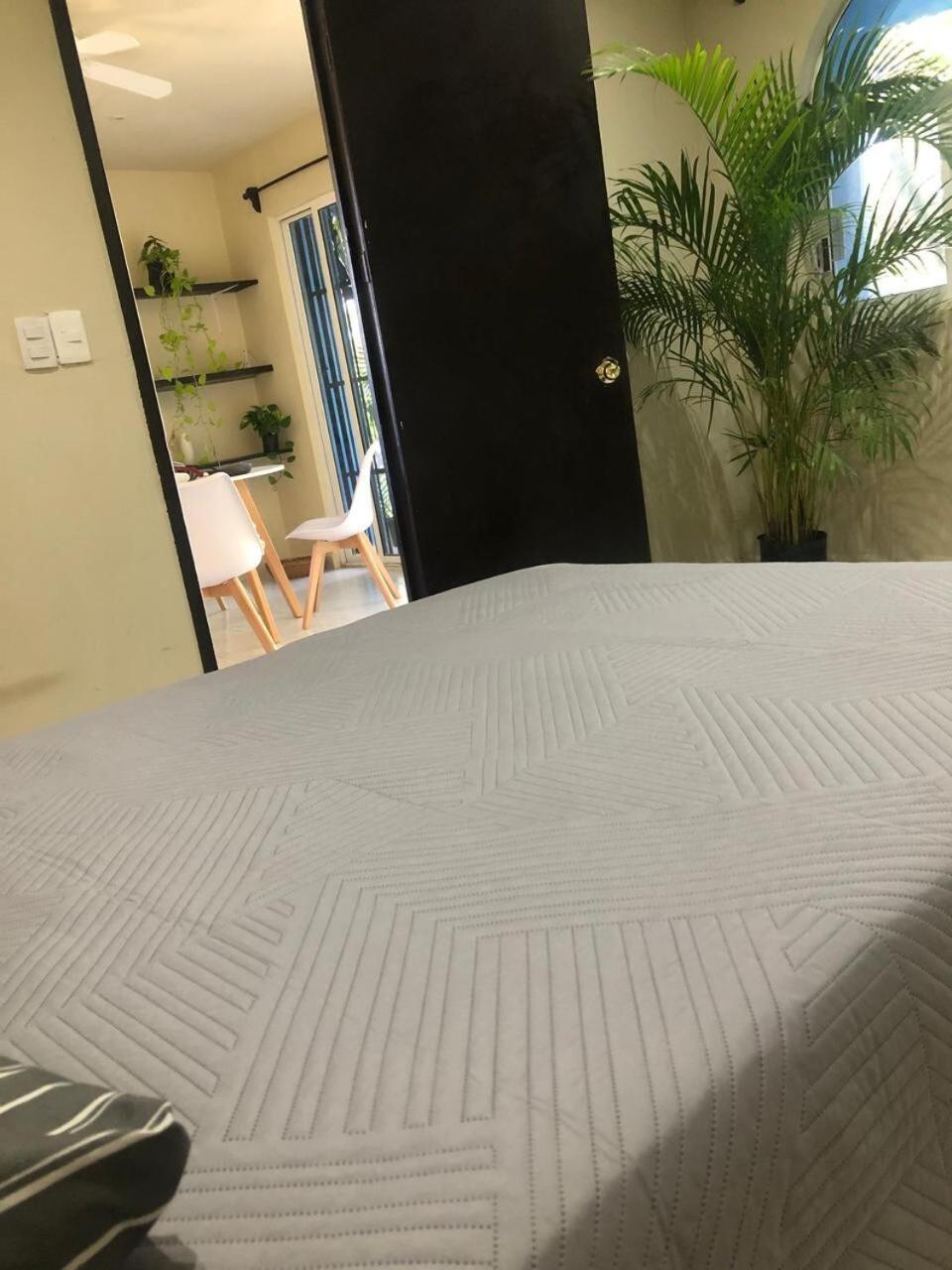 Lovely In Playa Apartment