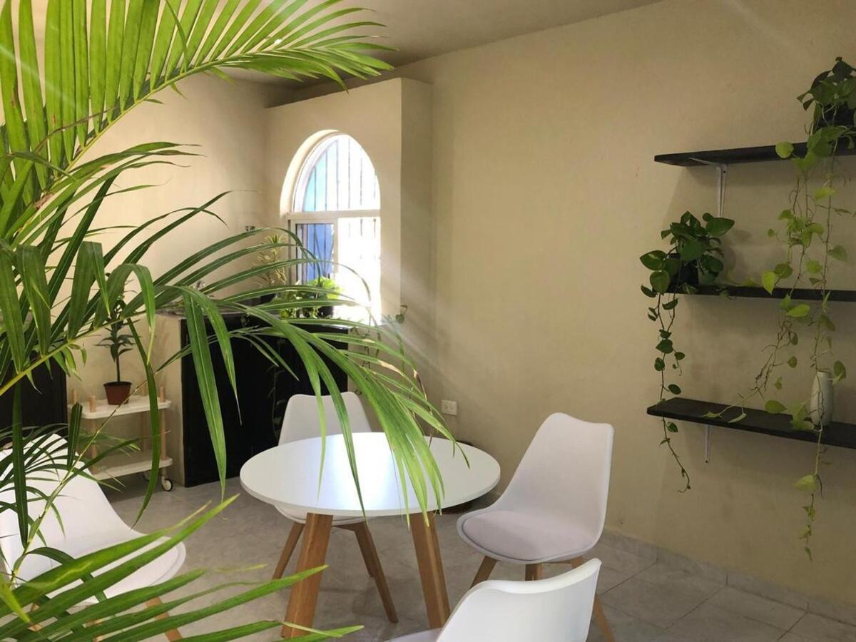 Lovely In Playa Apartment *