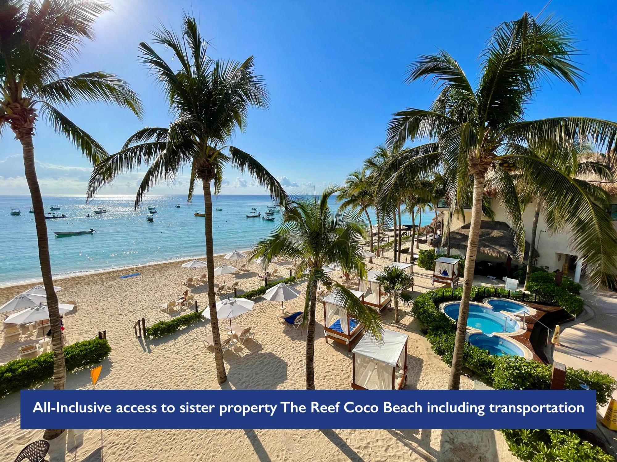 The Reef 28 & (adults Only)