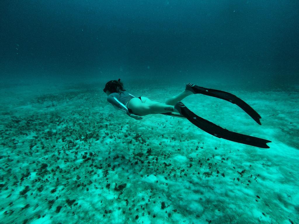 Lobo De Mar Hostal Playa del Carmen