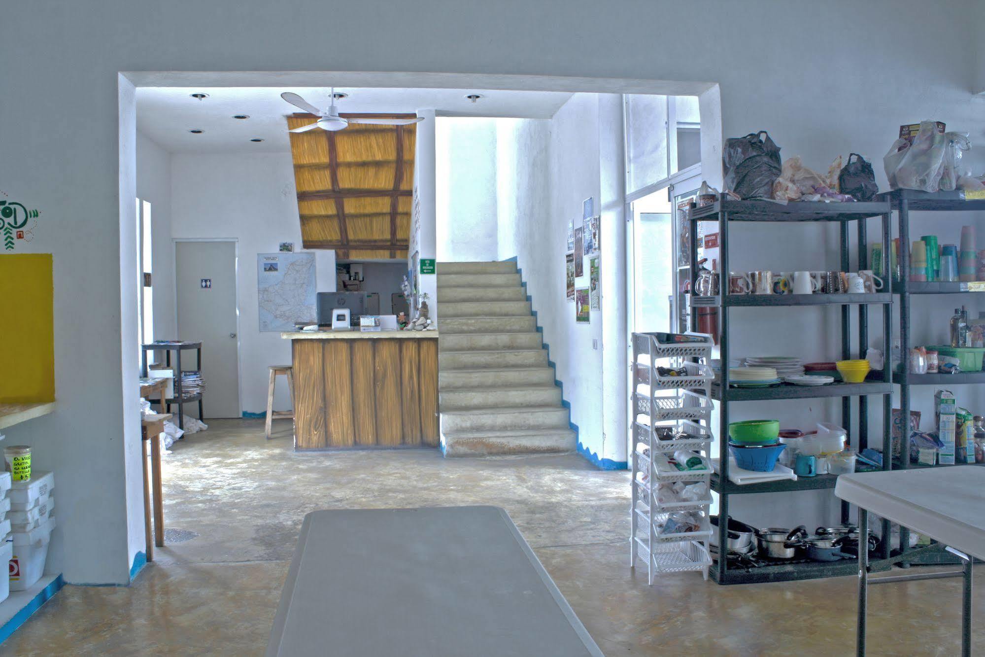 Hostal Vive La Vida *