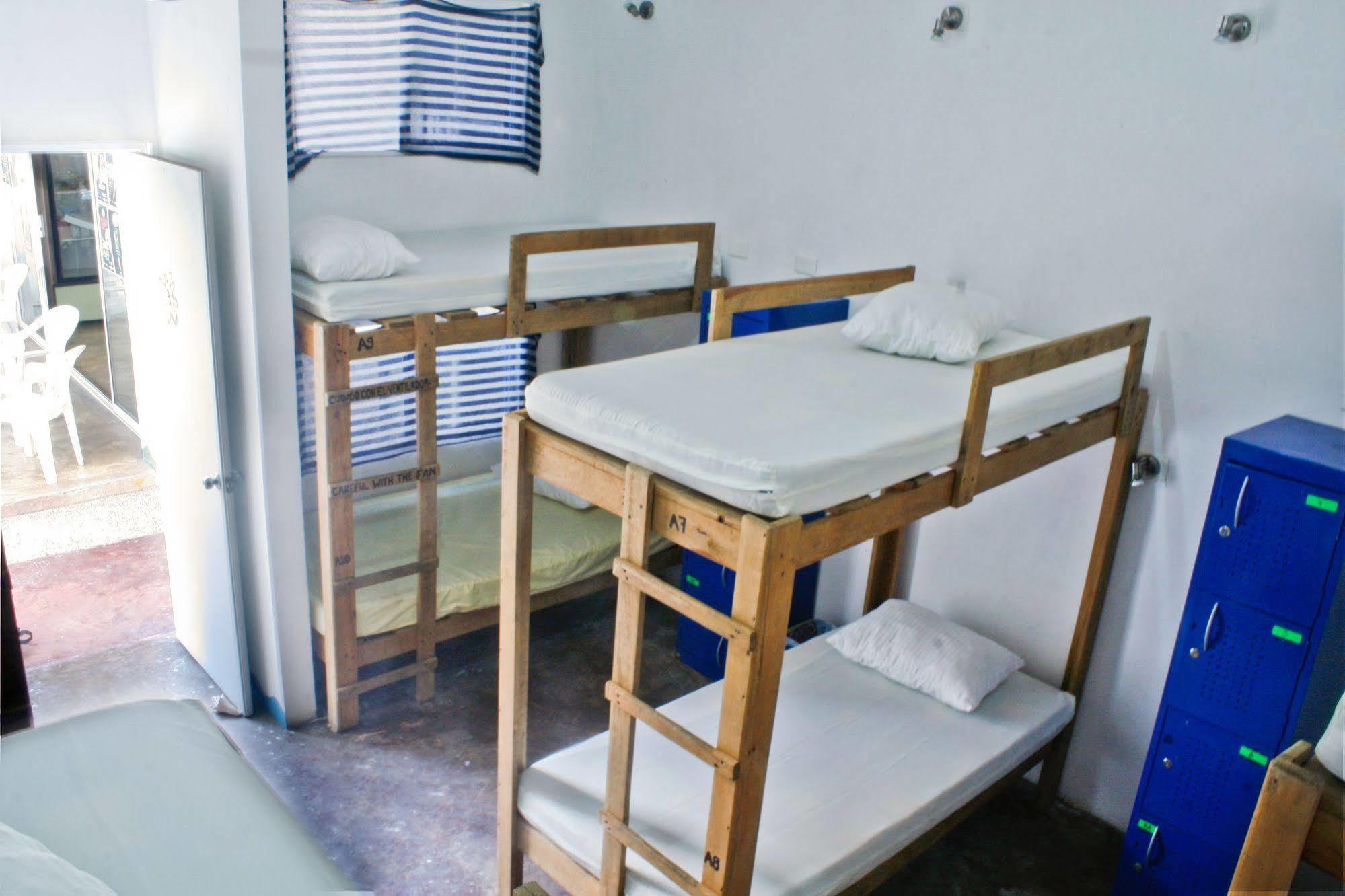 Hostal Vive La Vida *
