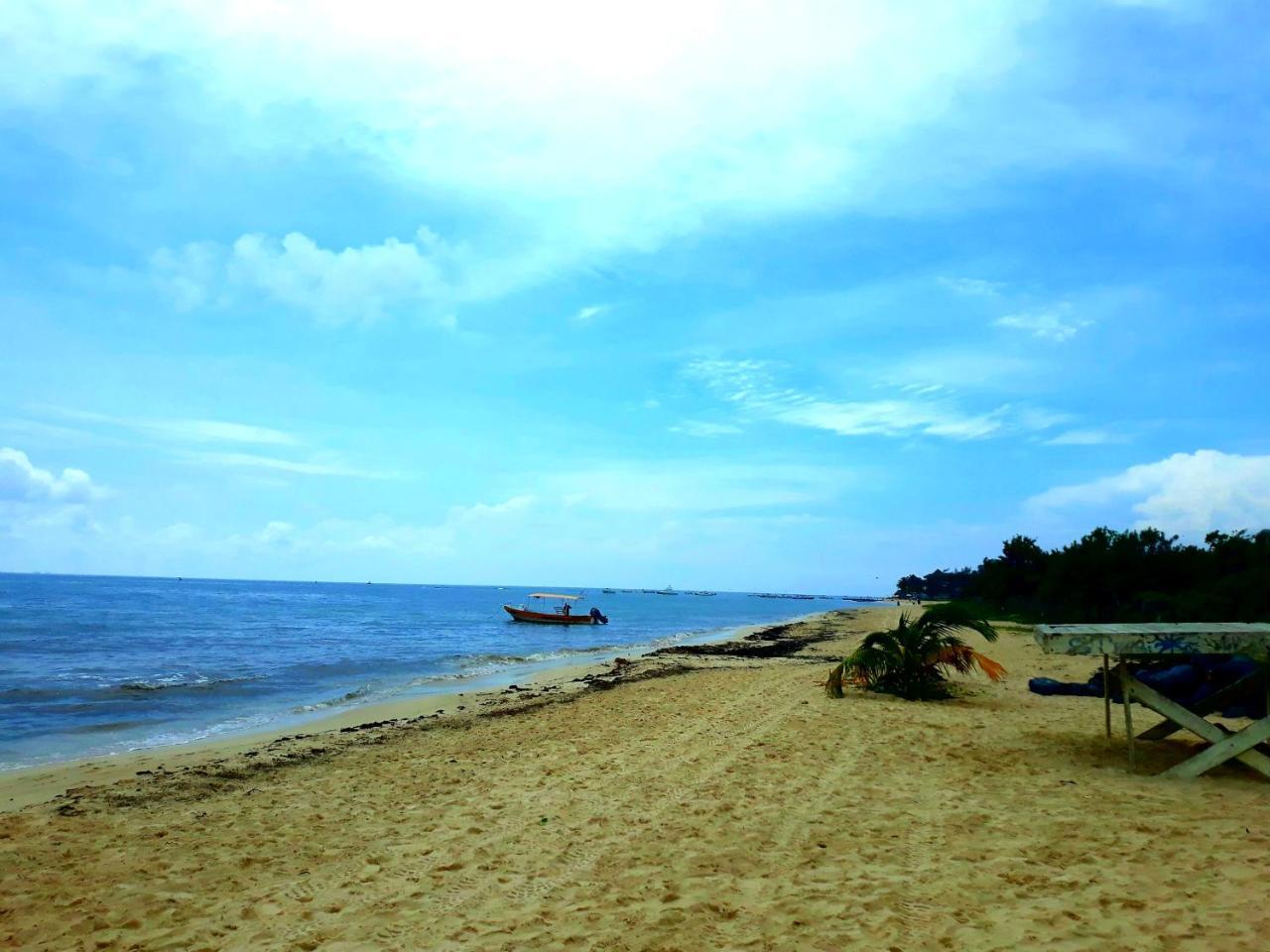 Hostel Tikun-Ha *
