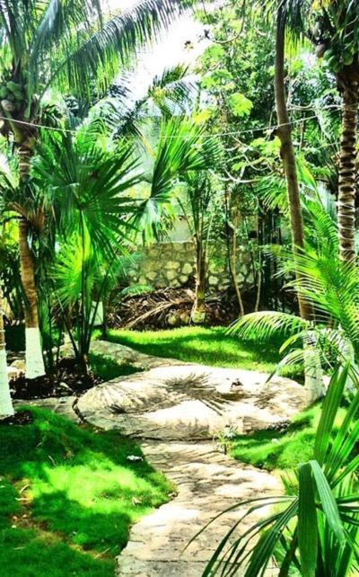 Holiday park The Jungle Beach *