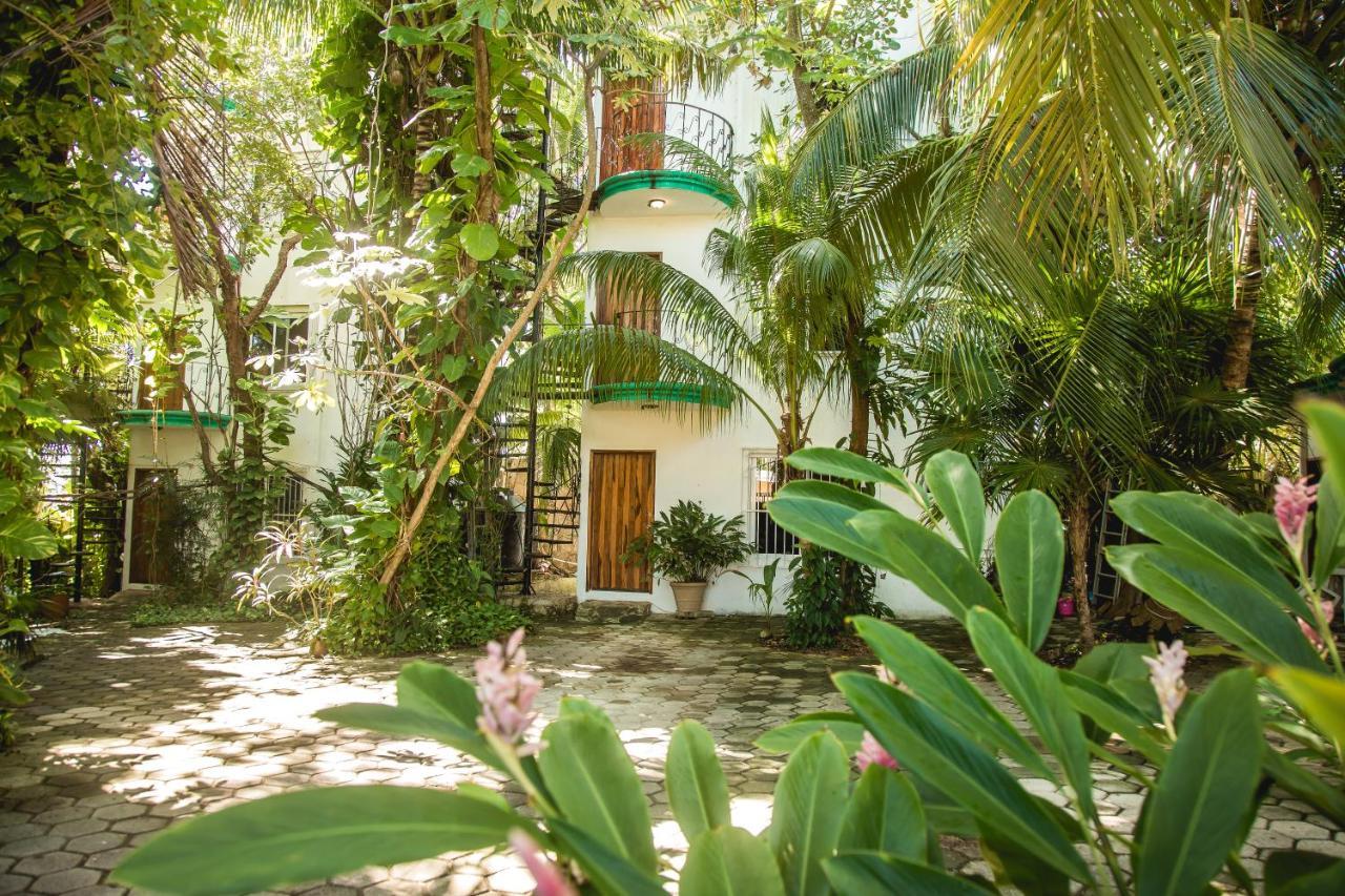 The Jungle Beach Holiday park Playa del Carmen
