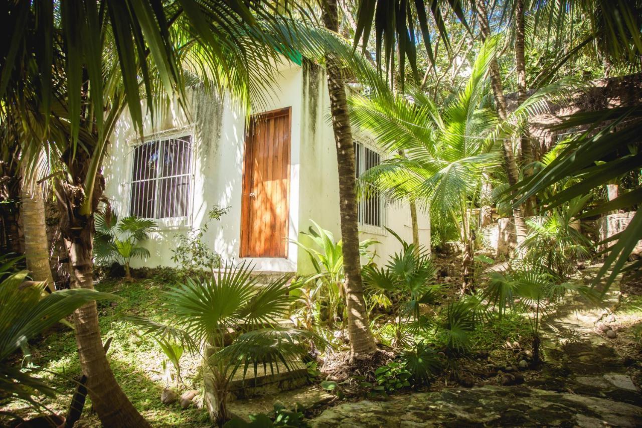 The Jungle Beach Playa del Carmen