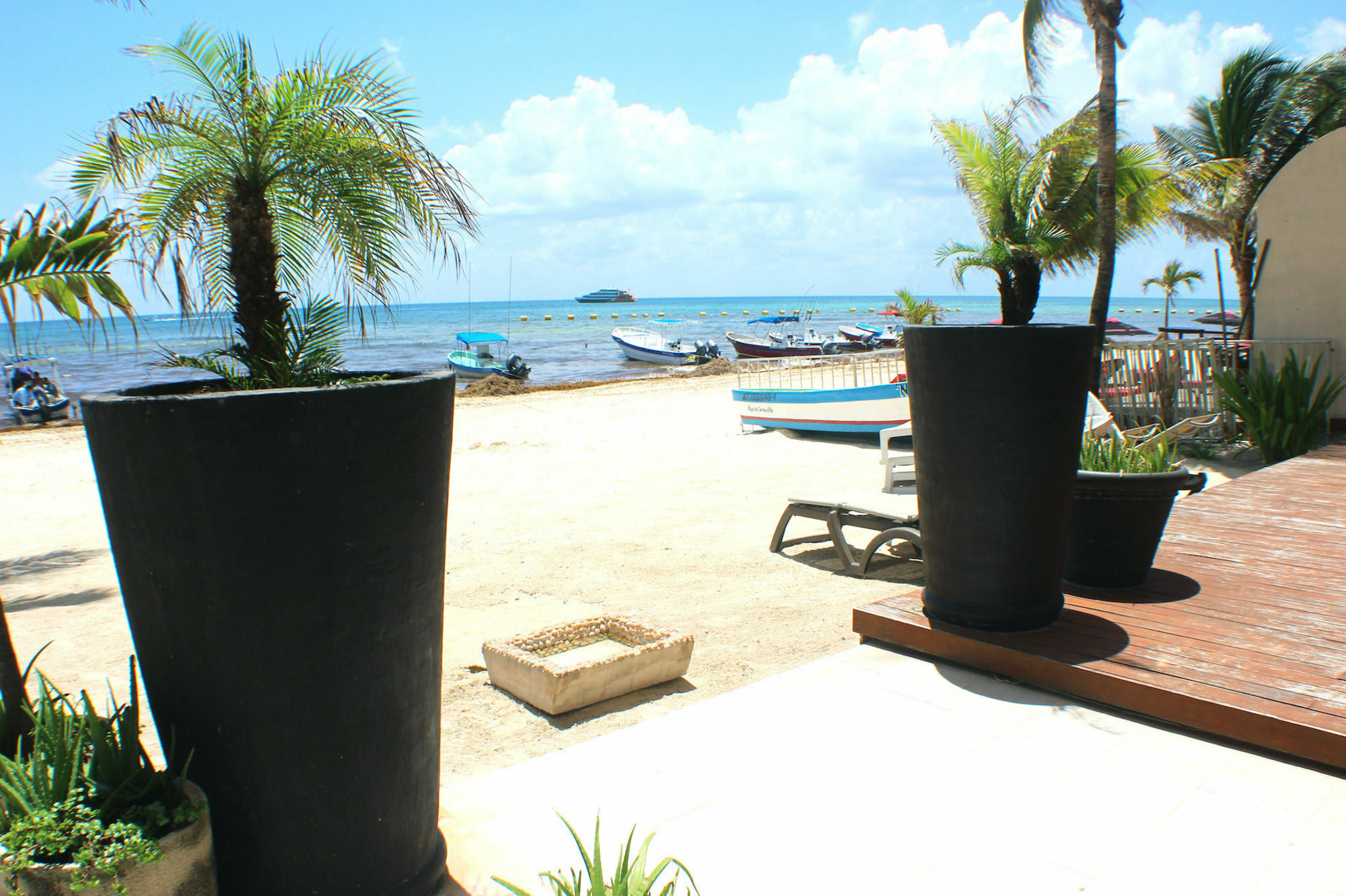 Ocean Plaza 5a *