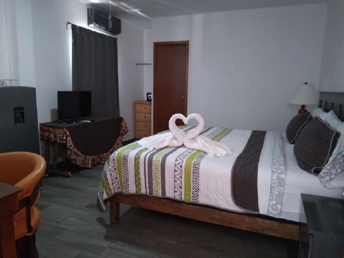 Fenicia Apartamento *